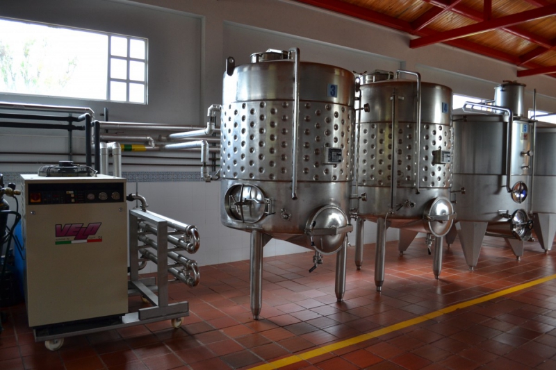 cave-COGOLIN-min_wine_production_cantine_winery_drink_alcohol_vine_beverage-902036